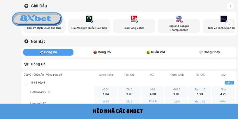 kèo nhà cái 8xbet