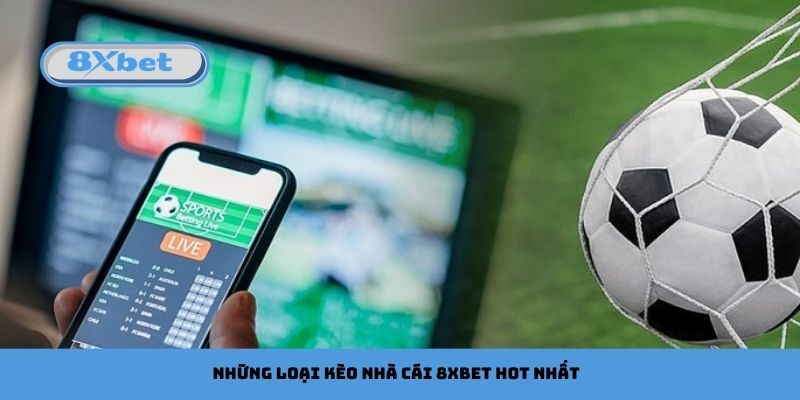 Những loại kèo nhà cái 8xbet hot nhất